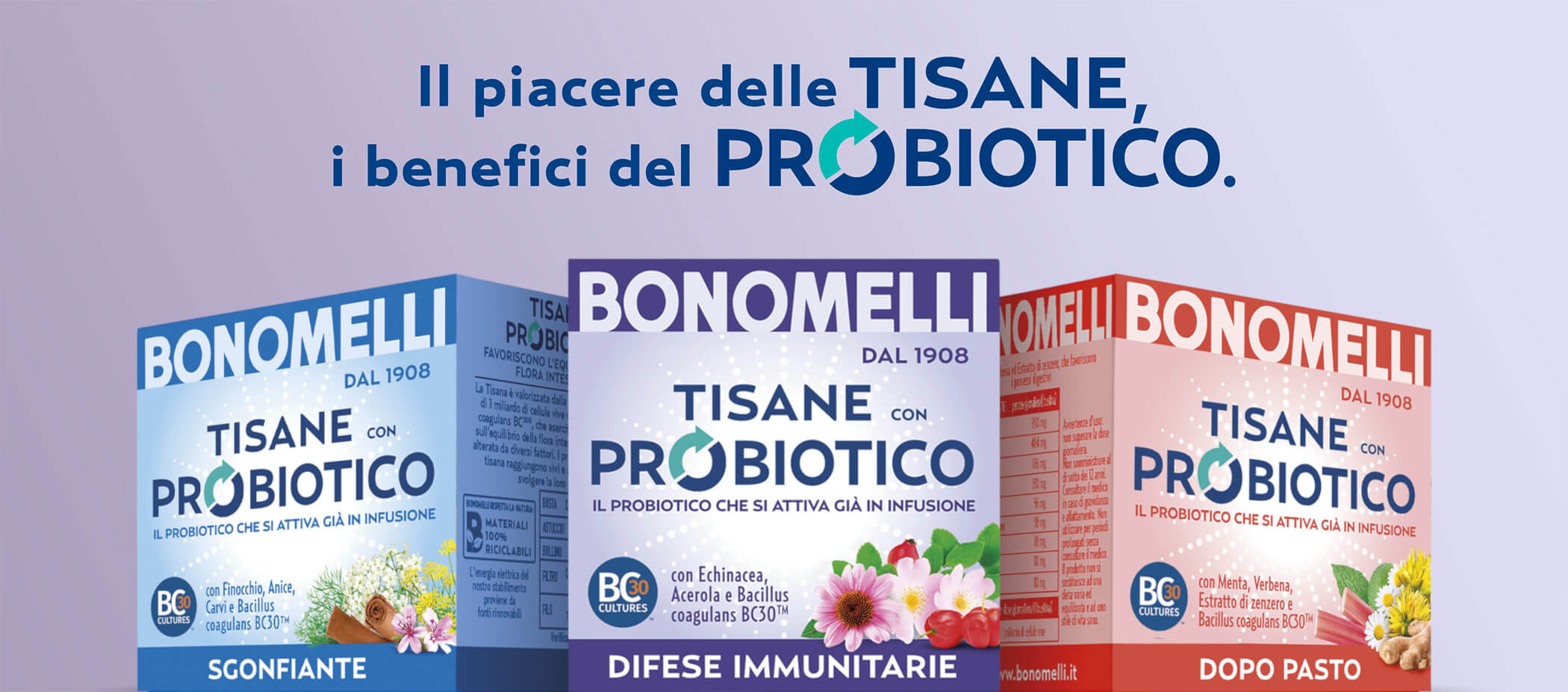 Tisane con probiotico - Bonomelli