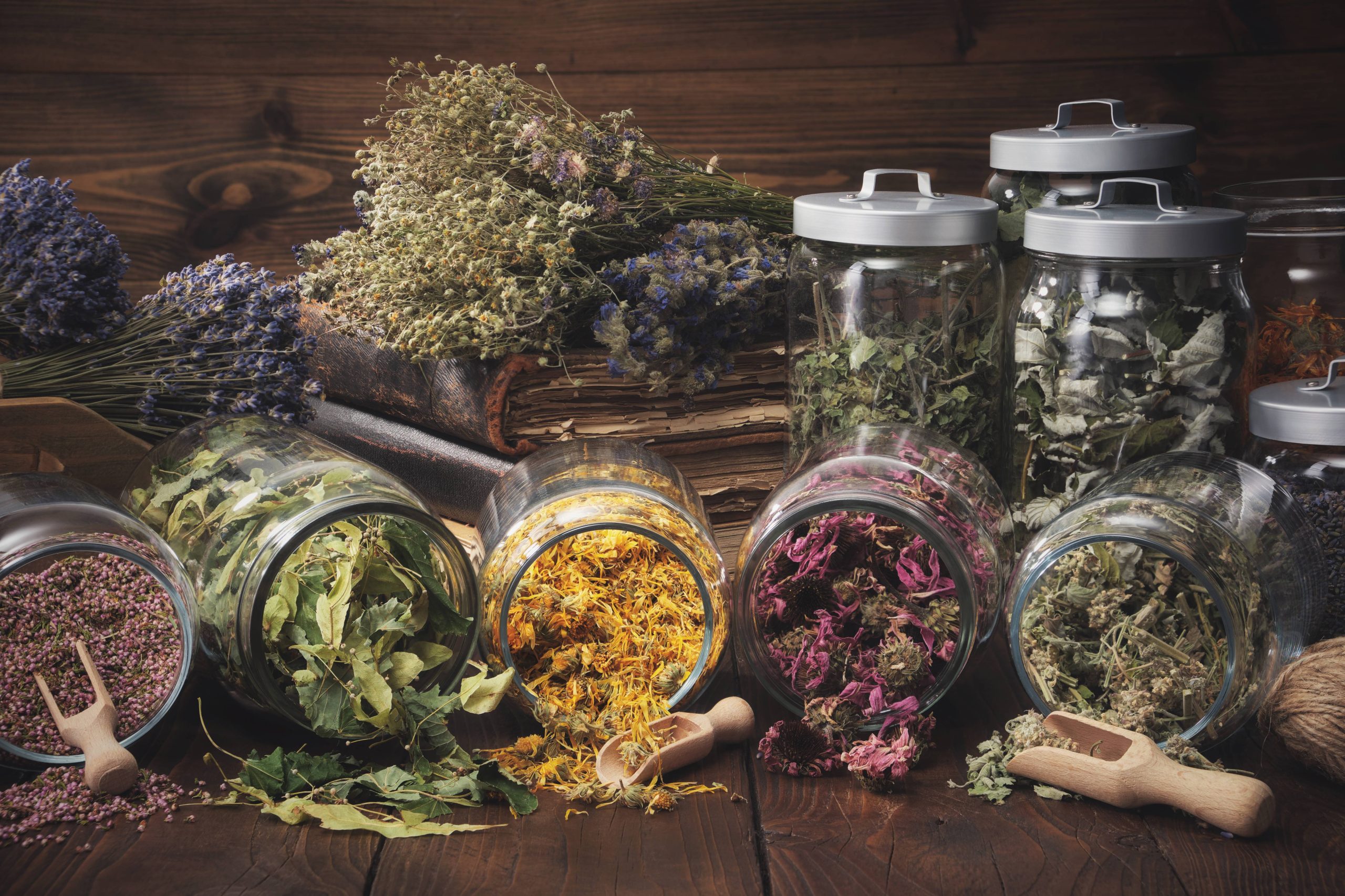 Come riconoscere le piante officinali